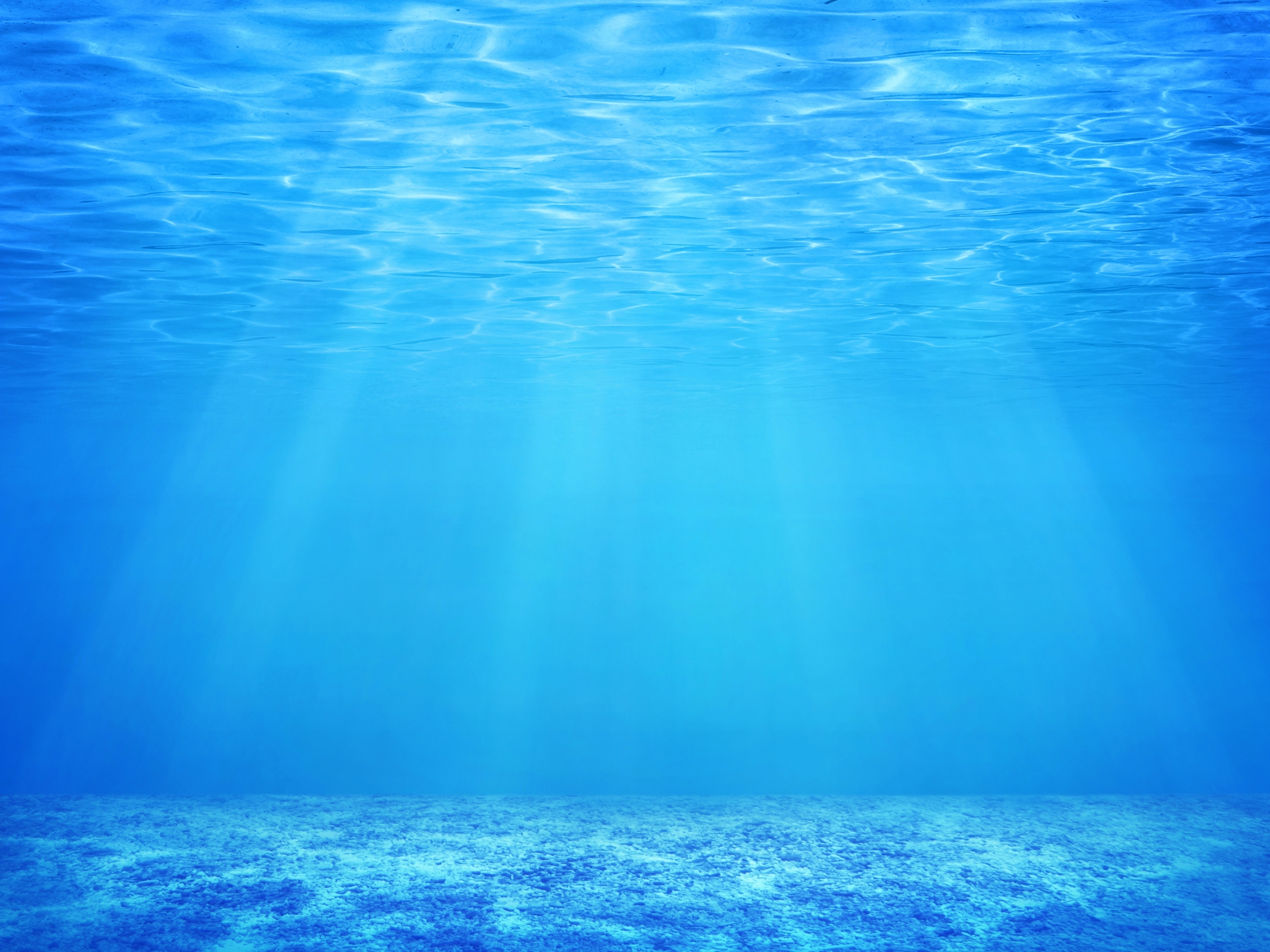 sea
